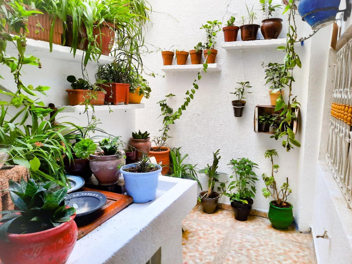Dar Ayoub - Entire House Near Palais Marchan - Updated 2024 タンジェ エクステリア 写真